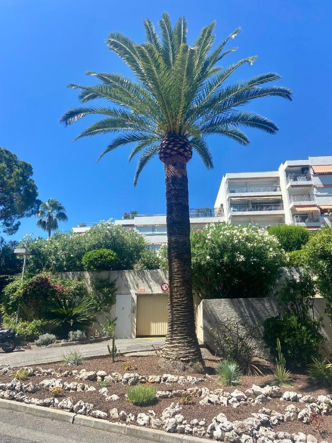 5 Minutes Cannes Et Plages, Terrasse, Piscine