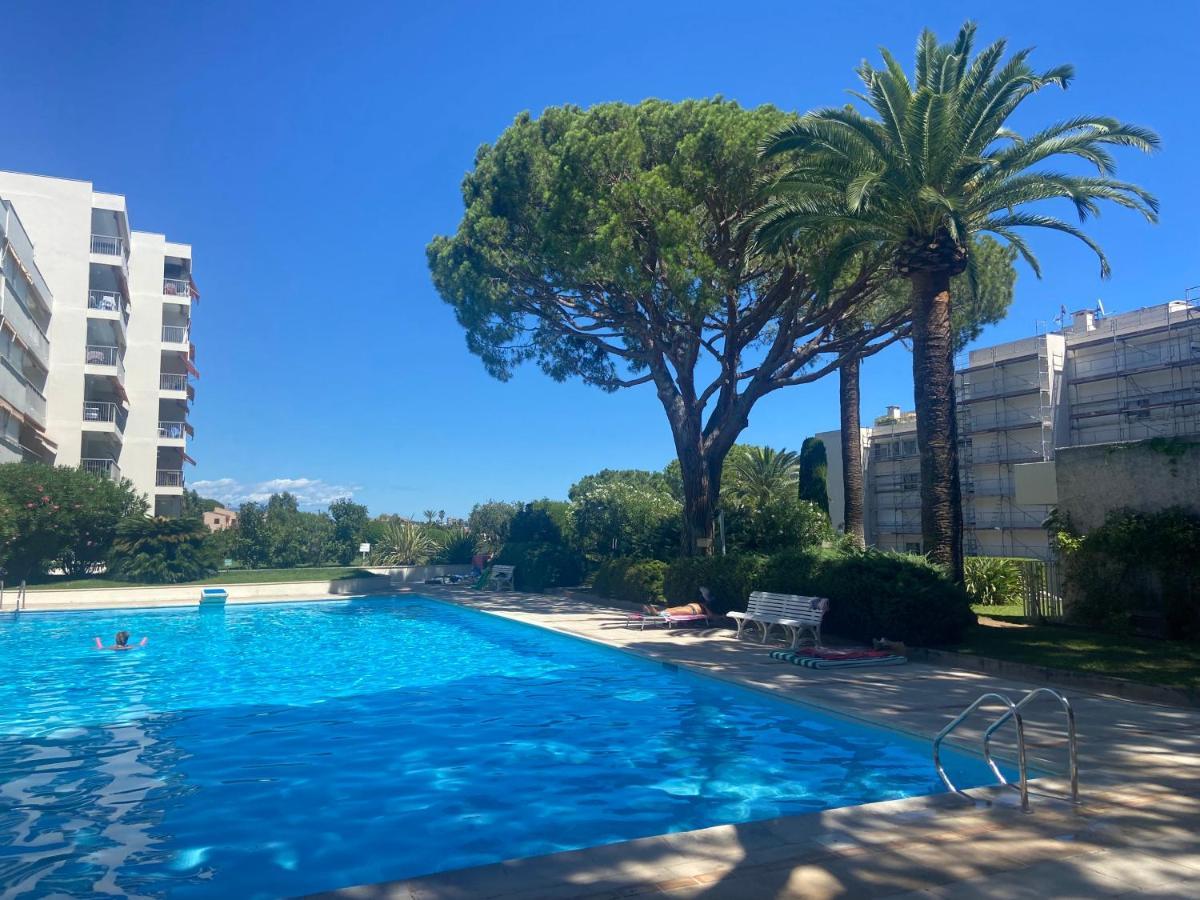 5 Minutes Cannes Et Plages, Terrasse, Piscine Appartement Vallauris