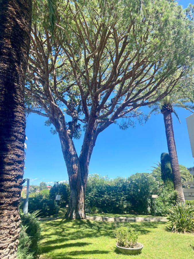 Appartement 5 Minutes Cannes Et Plages, Terrasse, Piscine *