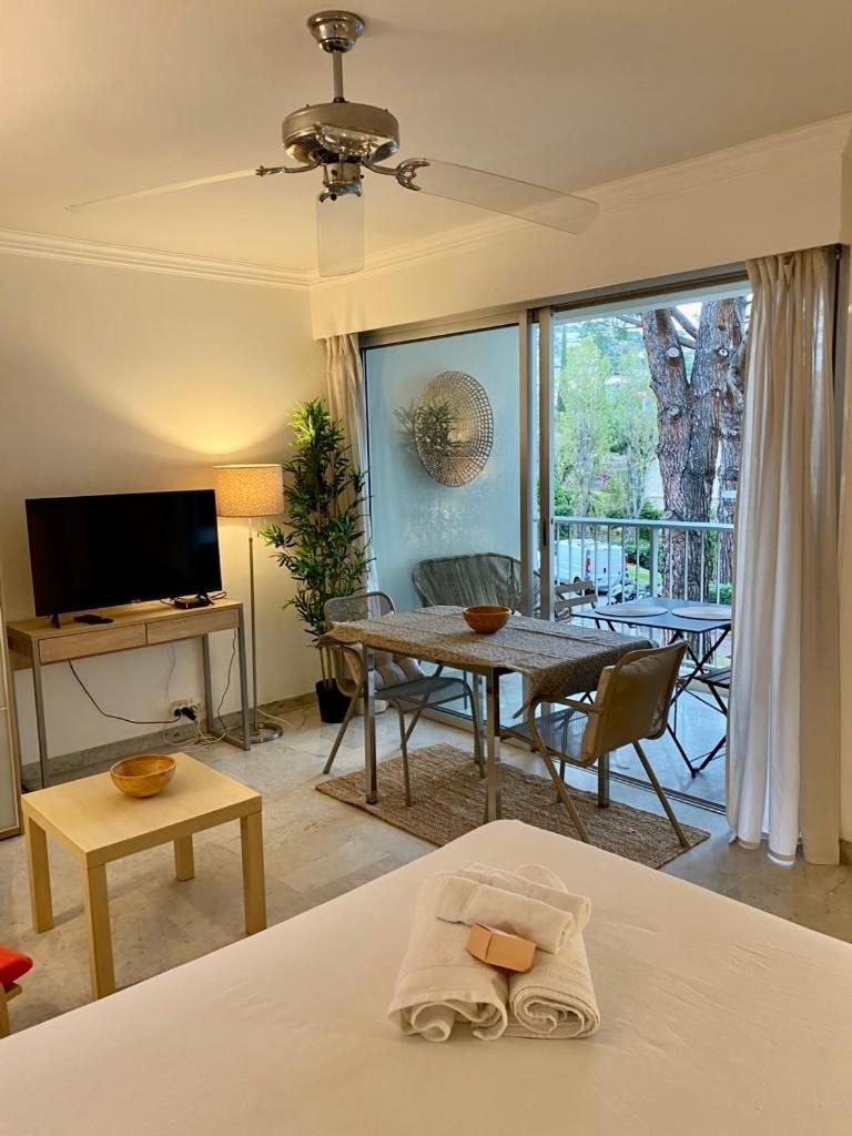5 Minutes Cannes Et Plages, Terrasse, Piscine Appartement